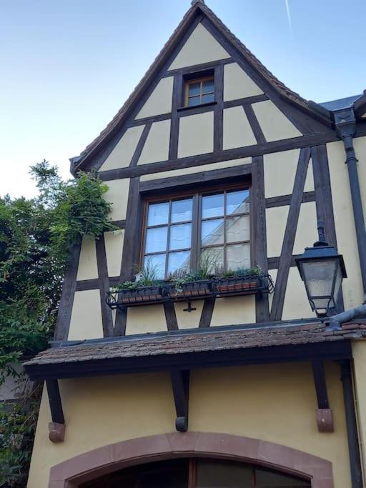 S'Gleina Gleck, In The Heart Of A Wine City, Charmant Studio 1 Piece Et 1 Salle De Bain Kaysersberg-Vignoble Exterior photo