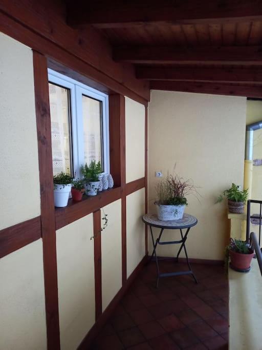 S'Gleina Gleck, In The Heart Of A Wine City, Charmant Studio 1 Piece Et 1 Salle De Bain Kaysersberg-Vignoble Exterior photo
