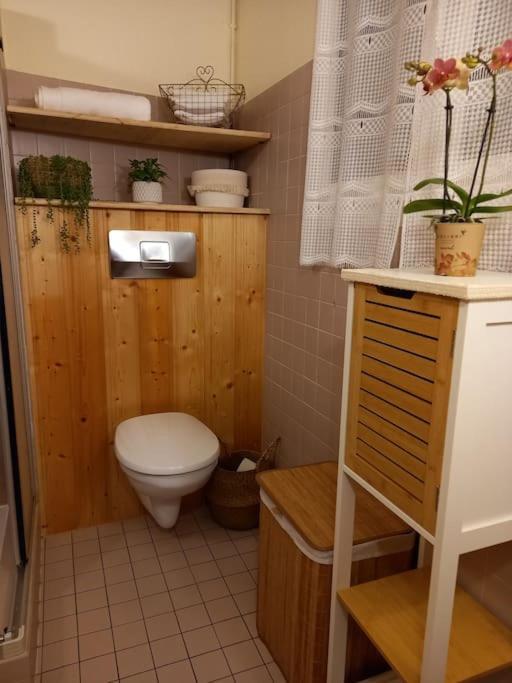 S'Gleina Gleck, In The Heart Of A Wine City, Charmant Studio 1 Piece Et 1 Salle De Bain Kaysersberg-Vignoble Exterior photo