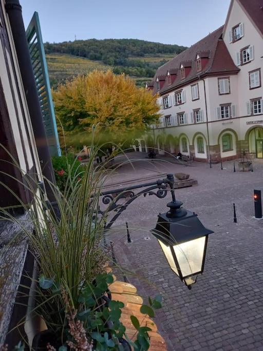 S'Gleina Gleck, In The Heart Of A Wine City, Charmant Studio 1 Piece Et 1 Salle De Bain Kaysersberg-Vignoble Exterior photo