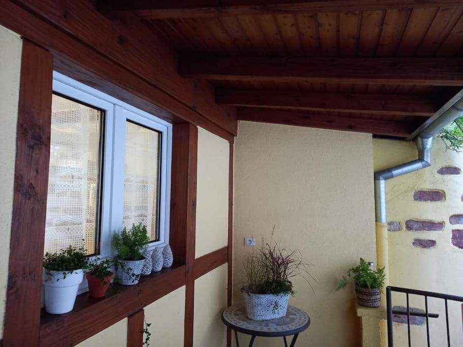 S'Gleina Gleck, In The Heart Of A Wine City, Charmant Studio 1 Piece Et 1 Salle De Bain Kaysersberg-Vignoble Exterior photo