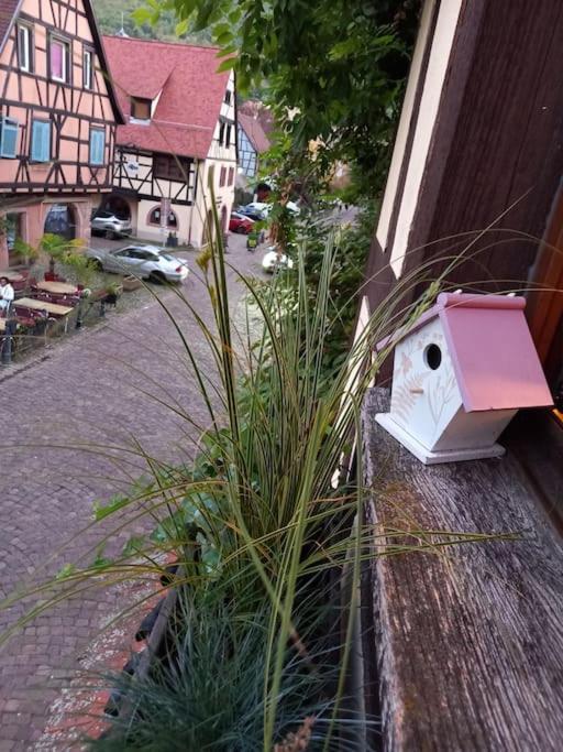 S'Gleina Gleck, In The Heart Of A Wine City, Charmant Studio 1 Piece Et 1 Salle De Bain Kaysersberg-Vignoble Exterior photo