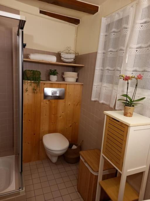 S'Gleina Gleck, In The Heart Of A Wine City, Charmant Studio 1 Piece Et 1 Salle De Bain Kaysersberg-Vignoble Exterior photo