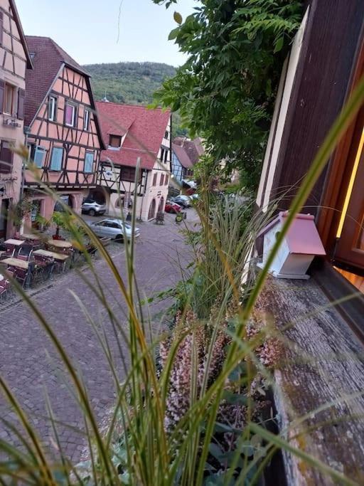 S'Gleina Gleck, In The Heart Of A Wine City, Charmant Studio 1 Piece Et 1 Salle De Bain Kaysersberg-Vignoble Exterior photo